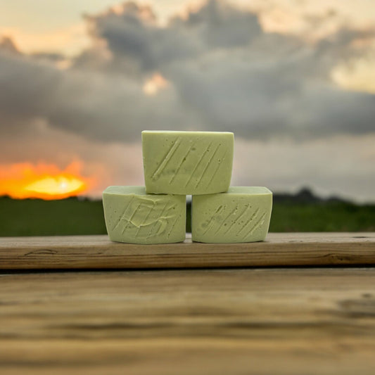 "Athlete's Armor" Tallow Soap Bar - Dr. Dave's Primal Essence