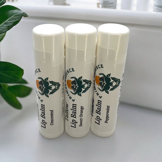 Grass Fed Tallow Lip Balm | Multiple Scents (3-Pk) - Dr. Dave's Primal Essence